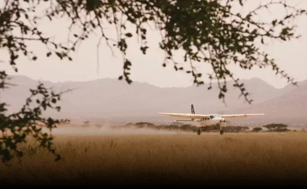 Fly your guests to Tanzania for your wedding in Serengeti National Park